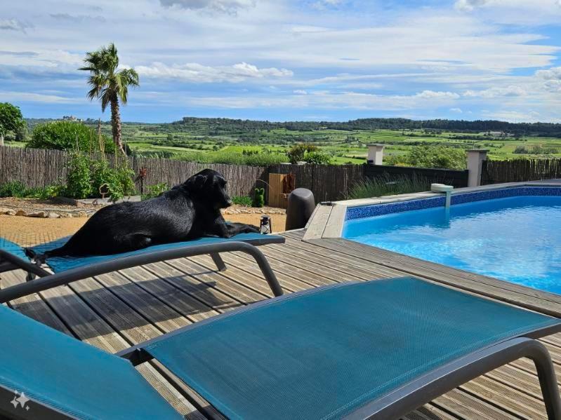 Domaine Du Chene Hotel Campagnan Bagian luar foto