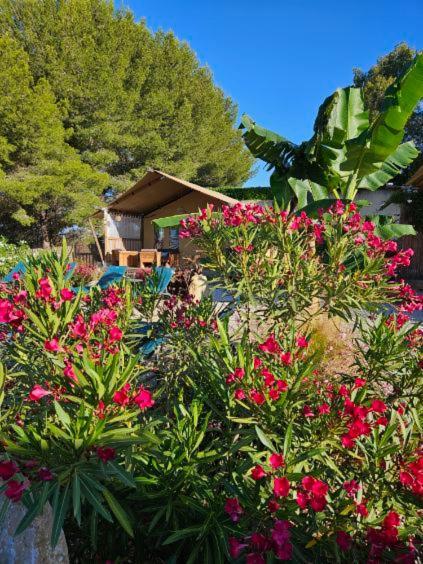 Domaine Du Chene Hotel Campagnan Bagian luar foto